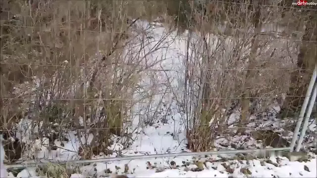 Poster: - Kim-Rose - Kim-Rose - Best of Natursekt - 5x Extrem NASS » Download Free Porn & XXX Videos in HD, 1080p