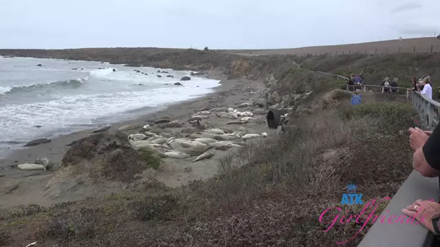 Poster: - ATKGirlfriends 25 10 28 Dez Hansen Central Cali 4 XXX 1080p