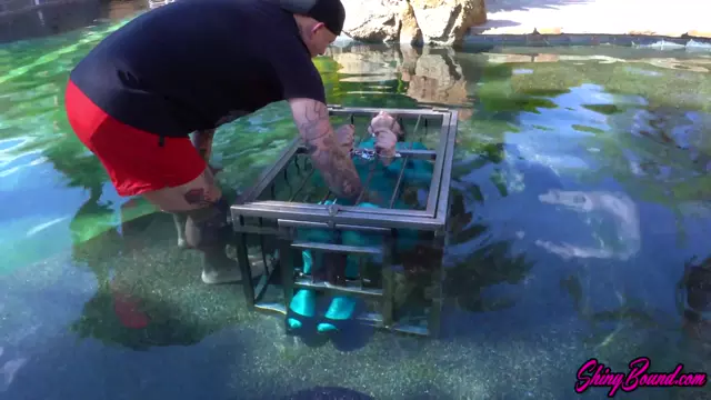 Poster: Irresistible Unlocked get bondage and bondage