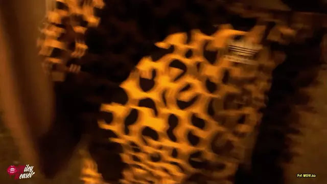 Poster: - Miley-Weasel - Su?e Blondine Lasst Sich Am Strassenrand Ficken » Download Free Porn & XXX Videos in HD, 1080p